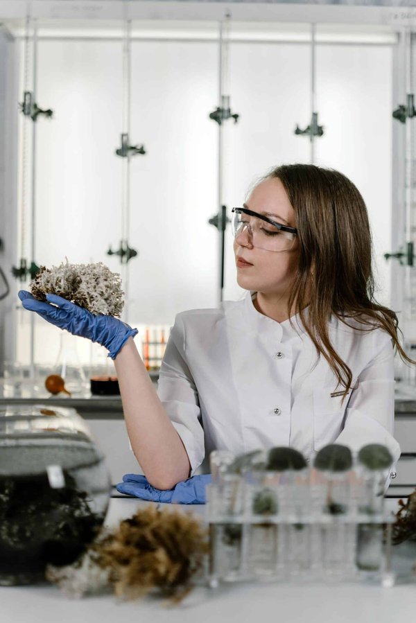 Quelles astuces pour augmenter vos chances lors d'une recherche d'emploi en gestion environnementale ?