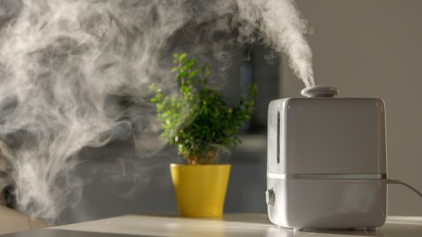 Solutions efficaces pour maîtriser l'humidité avec Seko humidité